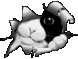 Rironline