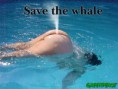 /album/galeria-de-fotos/humor-jpg/
